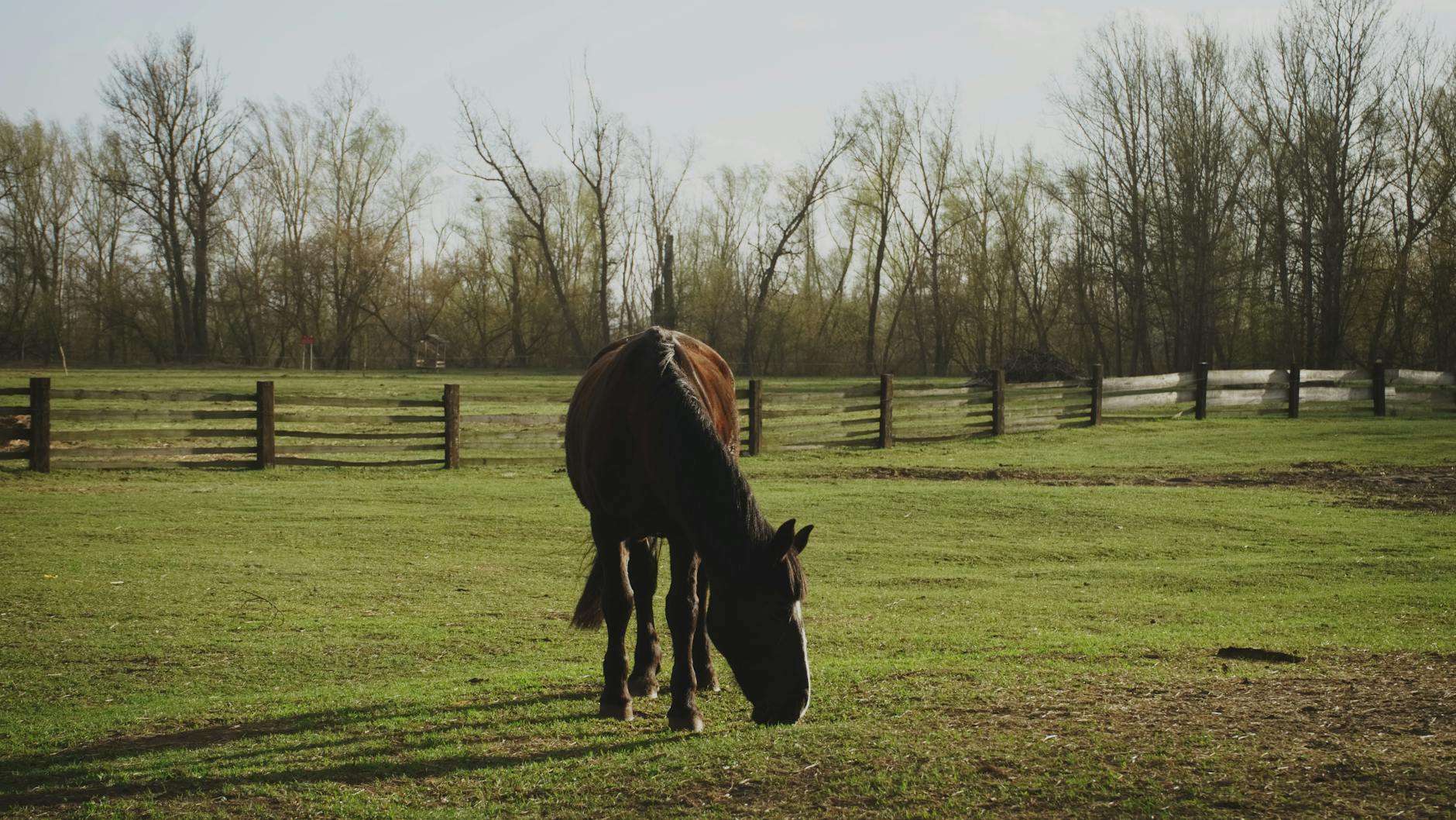 Mieszkańcy Józefowa cieszący się majówką w zielonym parku z rodzinami i przyjaciółmi.